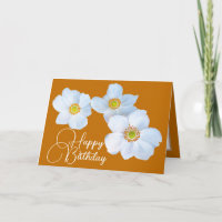 White Japanese Anemones Orange Colour Background