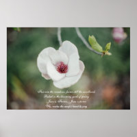 White Japanese Magnolia Flower with Old Hymn
