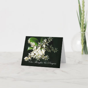 White Japanese Privet Thoughts & Prayers Sympathy Card