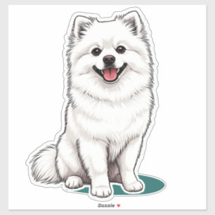 White Japanese Spitz