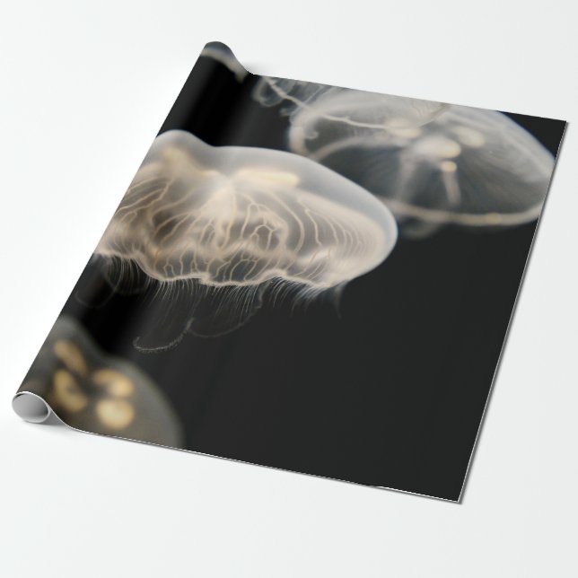 WHITE JELLYFISH WRAPPING PAPER (Unrolled)
