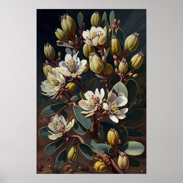 White Jojoba Flower Art Print Poster  (Front)
