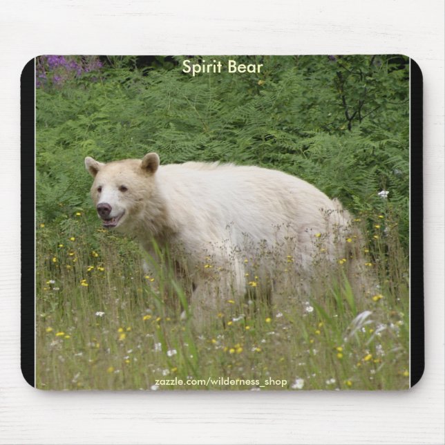WHITE KERMODE (SPIRIT) BEAR MOUSE MAT (Front)
