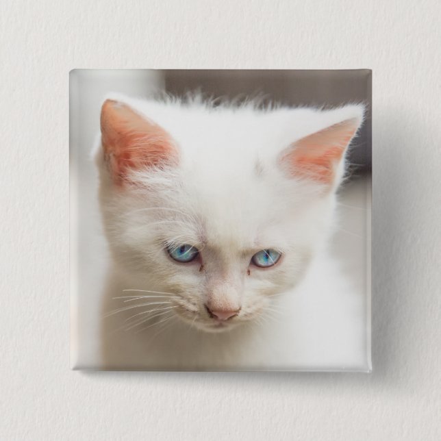 White Kitten 15 Cm Square Badge (Front)