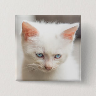 White Kitten 15 Cm Square Badge