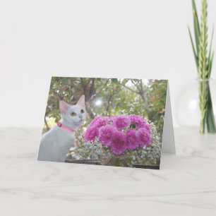 White Kitten and Pink Carnations Card