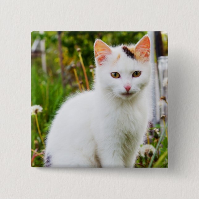 White Kitten Button (Front)