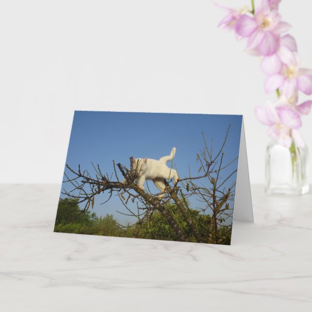 White Kitten Climbing Almond Tree Card (Orchid)