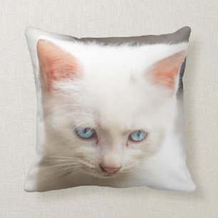 White Kitten Cushion