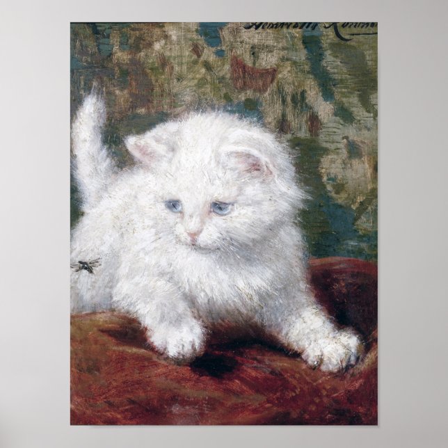White Kitten, Henriette Ronner-Knip Poster (Front)