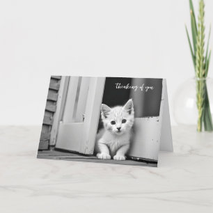 White Kitten In Doorway Thinking Of You Card
