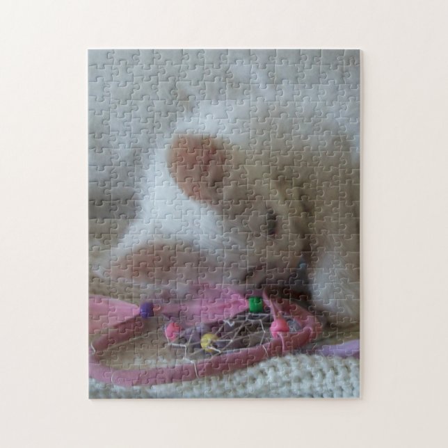 White Kitten Jigsaw Puzzle (Vertical)