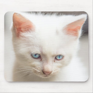 White Kitten Mouse Mat