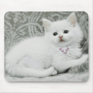 White Kitten Mouse Mat