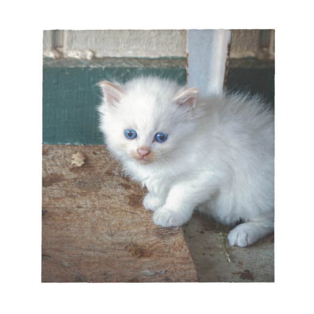 White Kitten Notepad (Front)