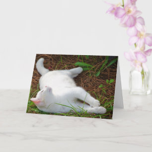 White Kitten on Pine Needles Card
