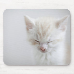 White Kitten Sleeping Mouse Mat