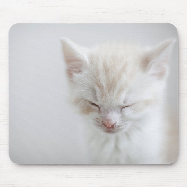 White Kitten Sleeping Mouse Mat (Front)