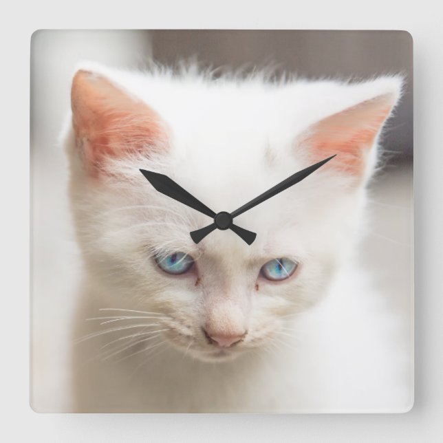 White Kitten Square Wall Clock (Front)
