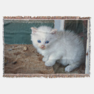 White Kitten Throw Blanket
