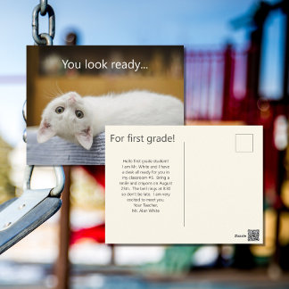 White Kitten Welcome Back to School Postcards