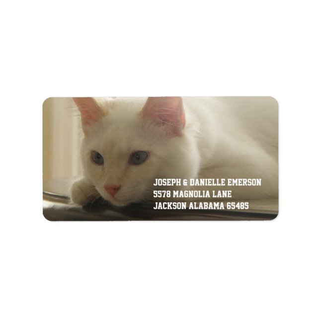 White Kitty Address Labels (Front)