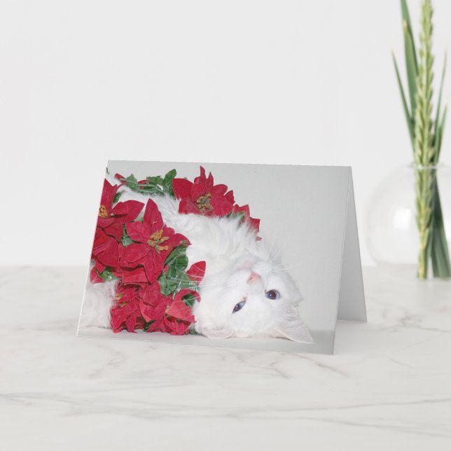 White kitty Christmas Holiday Card (Front)