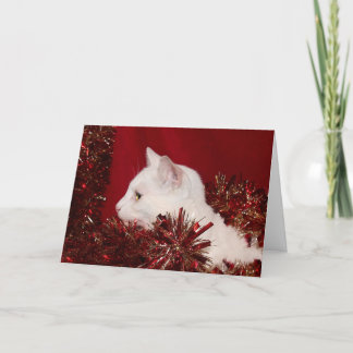 White kitty Christmas Holiday Card