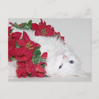 White kitty Christmas Holiday Postcard