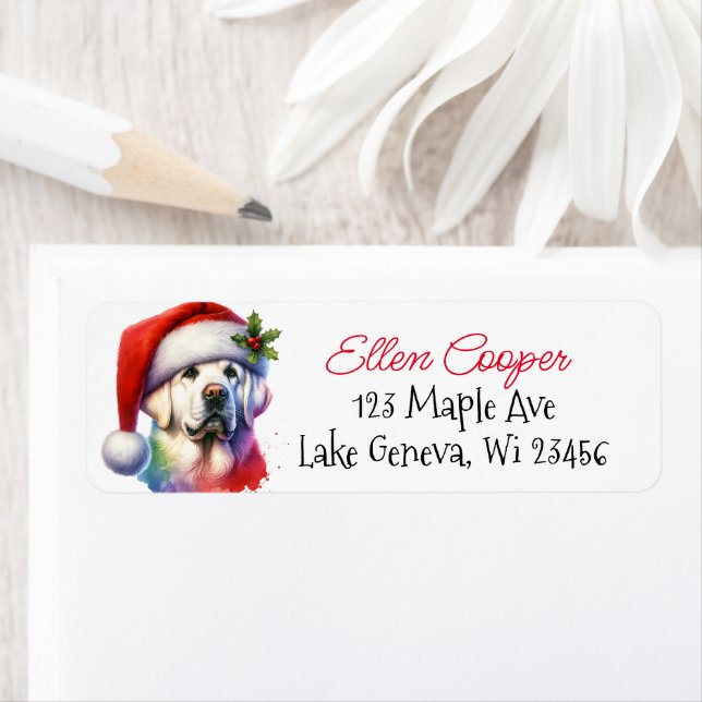 White Lab in Santa Hat Christmas (Insitu)