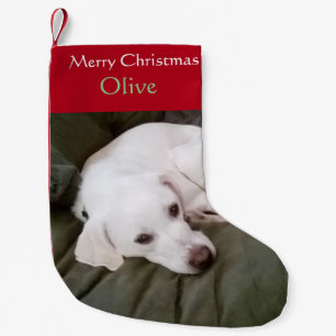 White Lab Mix Dog Cute Small Christmas Stocking