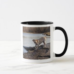 White Labrador near a lake Mug