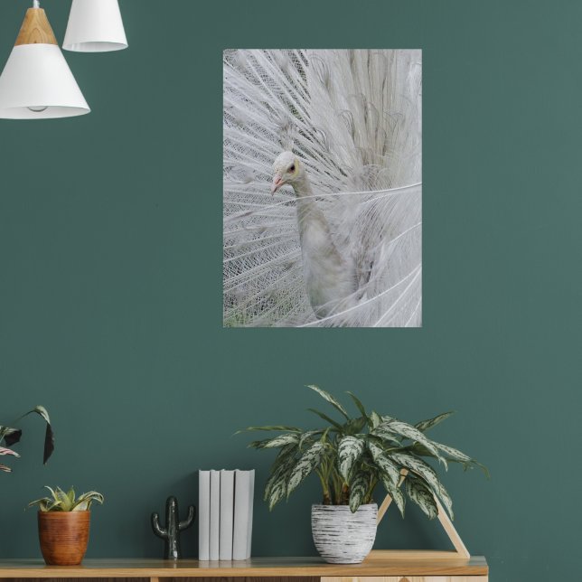 White Lace Poster (Living Room 1)