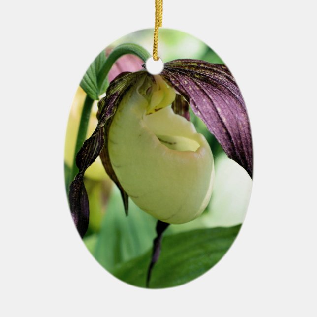 White Lady Slipper Flower Ornament (Front)