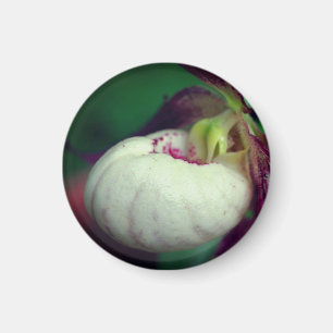 White Lady Slipper Flower Photography Magnet