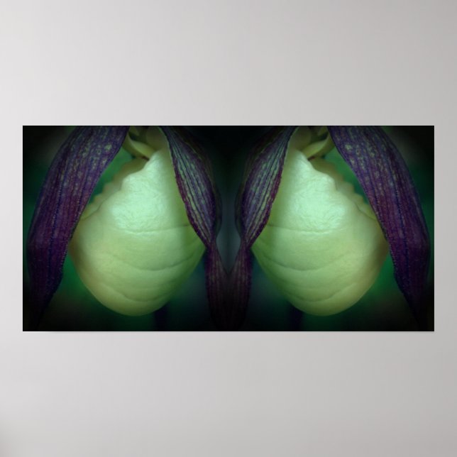 White Lady Slipper Orchid Flower Mirror Abstract Poster (Front)