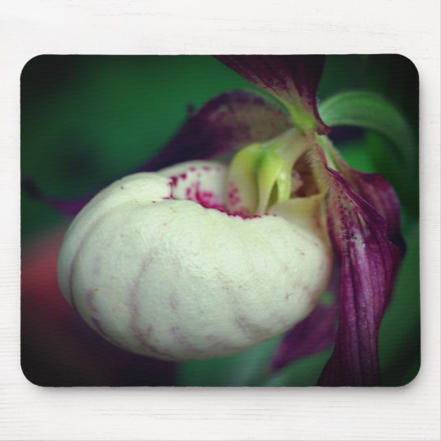 White Lady Slipper Orchid Flower  Mouse Mat (Front)