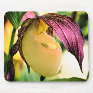 White Lady Slipper Orchid Flower Mouse Mat