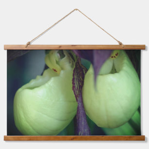 White Lady Slipper Orchid Flower Pair  Hanging Tapestry