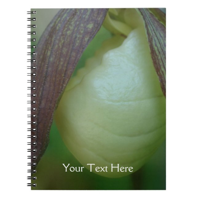 White Lady Slipper Orchid Flower Personalised Notebook (Front)