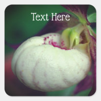 White Lady Slipper Orchid Flower Personalised