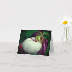 White Lady Slipper Orchid Flower Photography Note Card