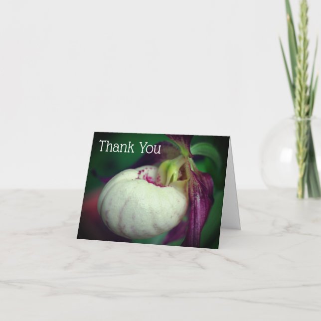 White Lady Slipper Orchid Flower Thank You Card (Front)