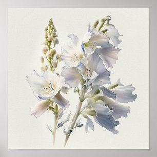 White Larkspur Flower Art Print Poster