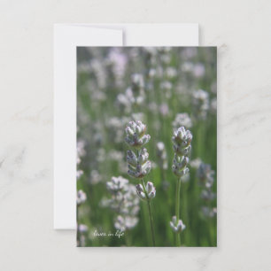 White Lavender Card