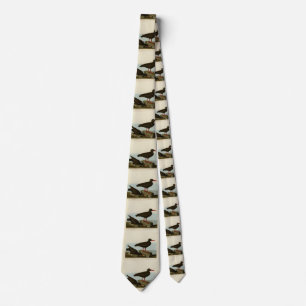 White-legged Oyster-catcher, Audubon Birds America Tie