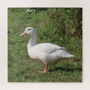 white lentils, ducks in the meadow, eating healthy jigsaw puzzle