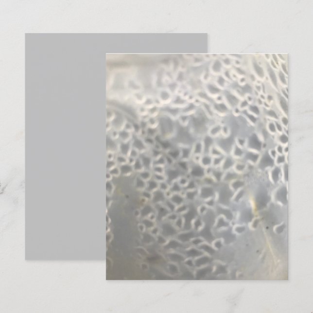 White Light Grey Bubbles Web Scrapbook Paper (Front/Back)