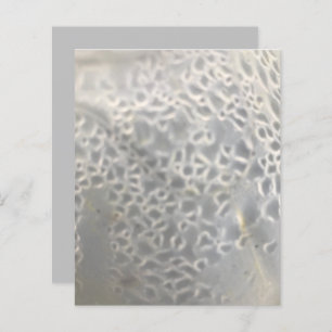 White Light Grey Bubbles Web Scrapbook Paper
