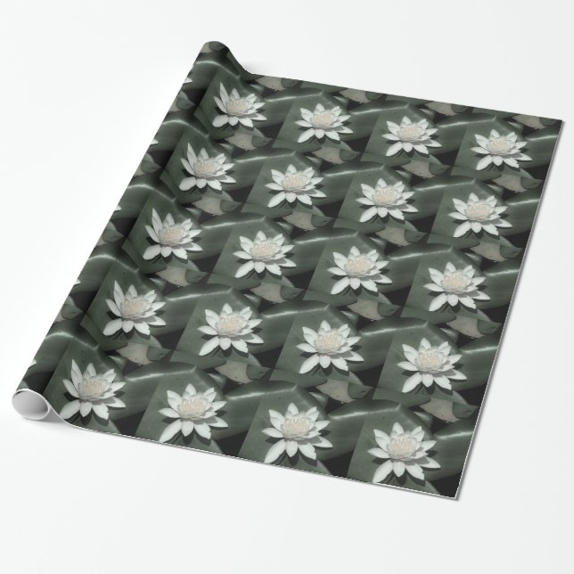 white light  pink lotus water lily flower wrapping paper (Unrolled)